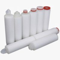 TS filter 10'',20'' polypropylene membrane pleated 20 micron filter element / PP membrane filter element for water filtration