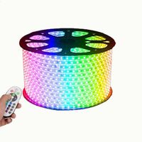 Wholesale Smart Neon Light Flexible 220V Outdoor Flexible 5050 SMD 100m RGB Waterproof LED Light Strip/Led Light Strip/Led Light Strip