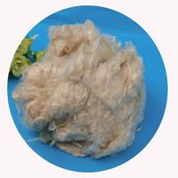 1.2D*38mm Original Bamboo Fiber China Manufacturer Fiber