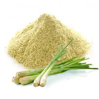 100% natural high quality lemongrass powder drink/ Tracy +84 966 058 257