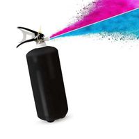 Brand Customized 1/4kg Gender Reveal Colorful Smoke Bomb Outdoor Party Large Size Gender Reveal Fire Extinguisher