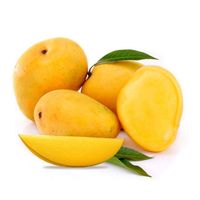 Vietnam Alfonso Mango exports fresh mangoes