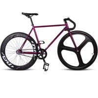 700C Classic Fixed Gear Bicycle/OEM Fixed Bicycle Single Speed ​​Steel Fixed Gear Bicycle