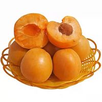 Wholesale best quality custom packaged fresh sweet apricots