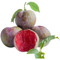 Delicious fresh organic red plums 100% natural high quality