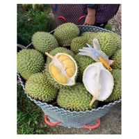 Vietnam Durian King High Quality Golden Pillow Durian New Crop Best for Wholesale