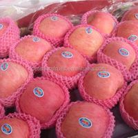 Fresh red fuji apple fruit fresh natural fresh apple producer