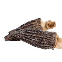 DETAN Dry Amniotic Fluid Mushrooms with Vitamin-rich Collagen Chinese Amniotic Fluid Mushrooms