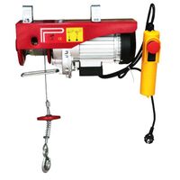 Mini wire rope electric hoist electric lift chain 1 ton micro CM rope suspender crane